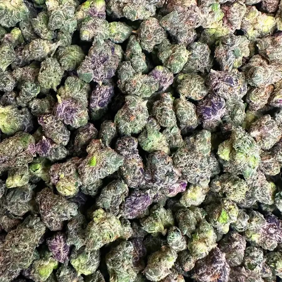 Blue Nerds