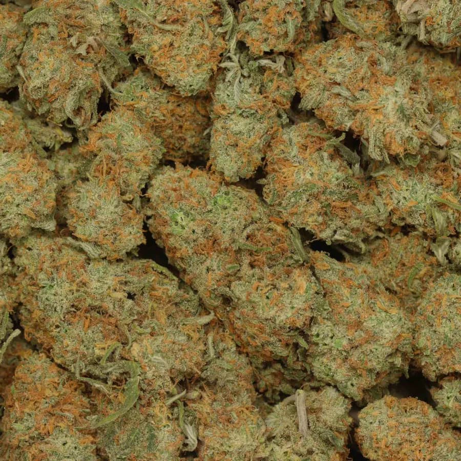Super Silver Haze