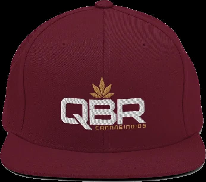 QBR Snapback Hat