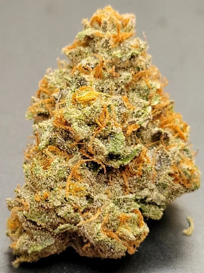 Orange Runtz