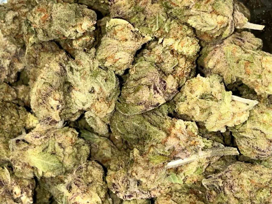 Orange Creamsicle