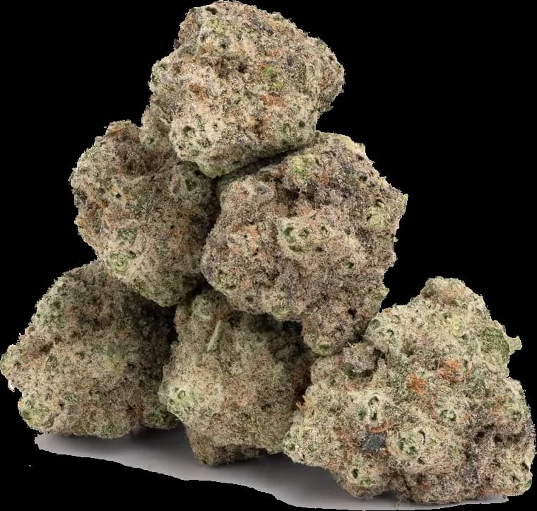 Purple Cream