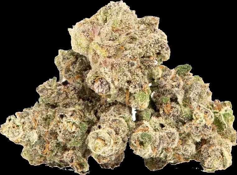 Thin Mint x Jealousy