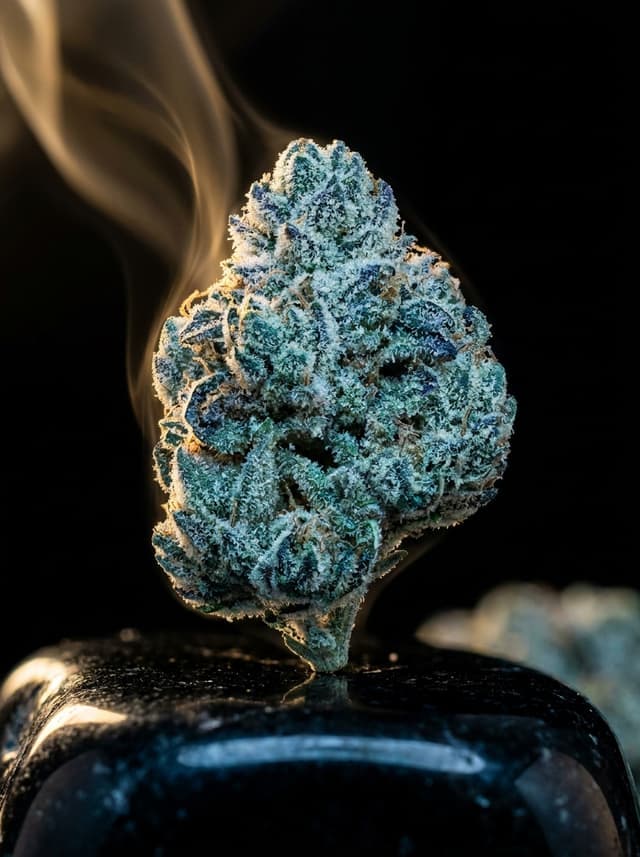Blue Nerds THC-A flower bud