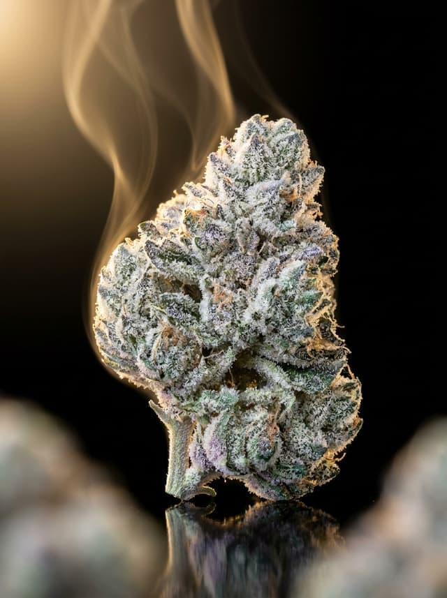 Space Candy THC-A flower bud