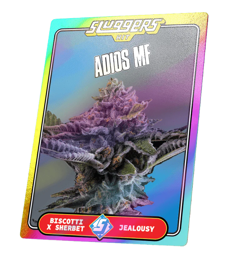 Sluggers- Adios MF Juiced Pre-Roll, Indica (5 Pack) - Image 3