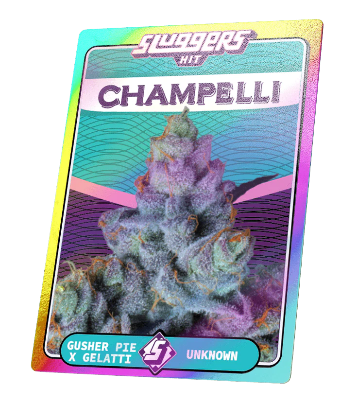 Sluggers- Champelli Cassis Juiced Pre-Roll. Indica (5 Pack) - Image 4