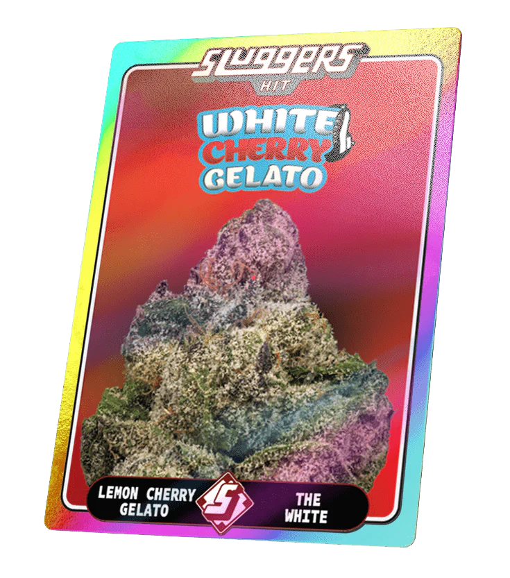 Sluggers- White Cherry Gelato Hybrid Juiced (5pack) - Image 4