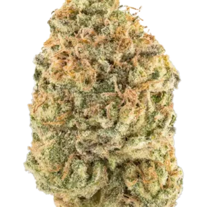LFG THC-A Flower- Hybrid (Indica Dom)