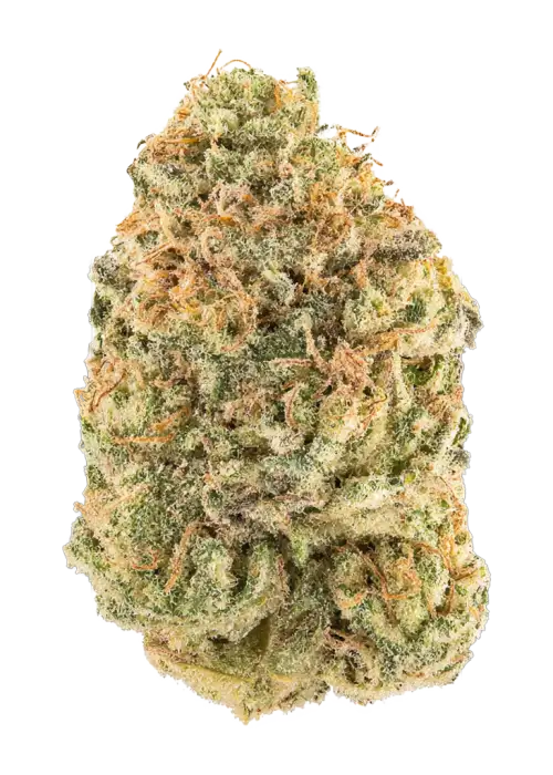 LFG THC-A Flower- Hybrid (Indica Dom)