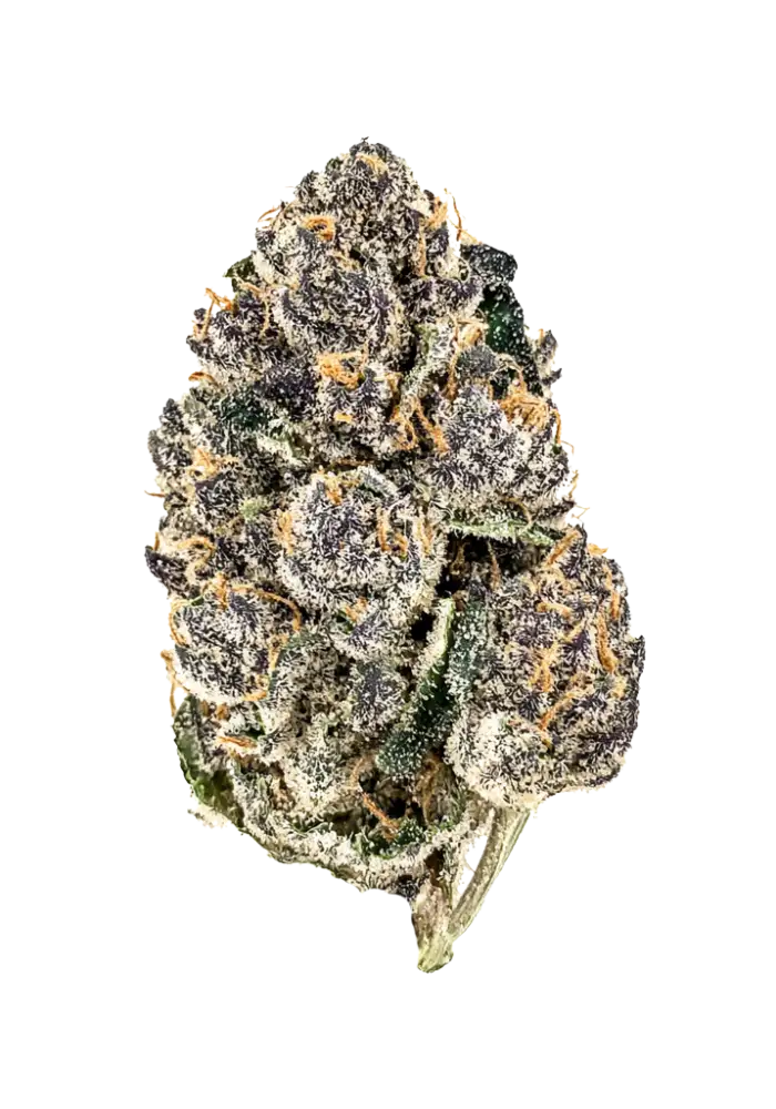 Chrome Dome THC-A Flower- Hybrid - Image 2