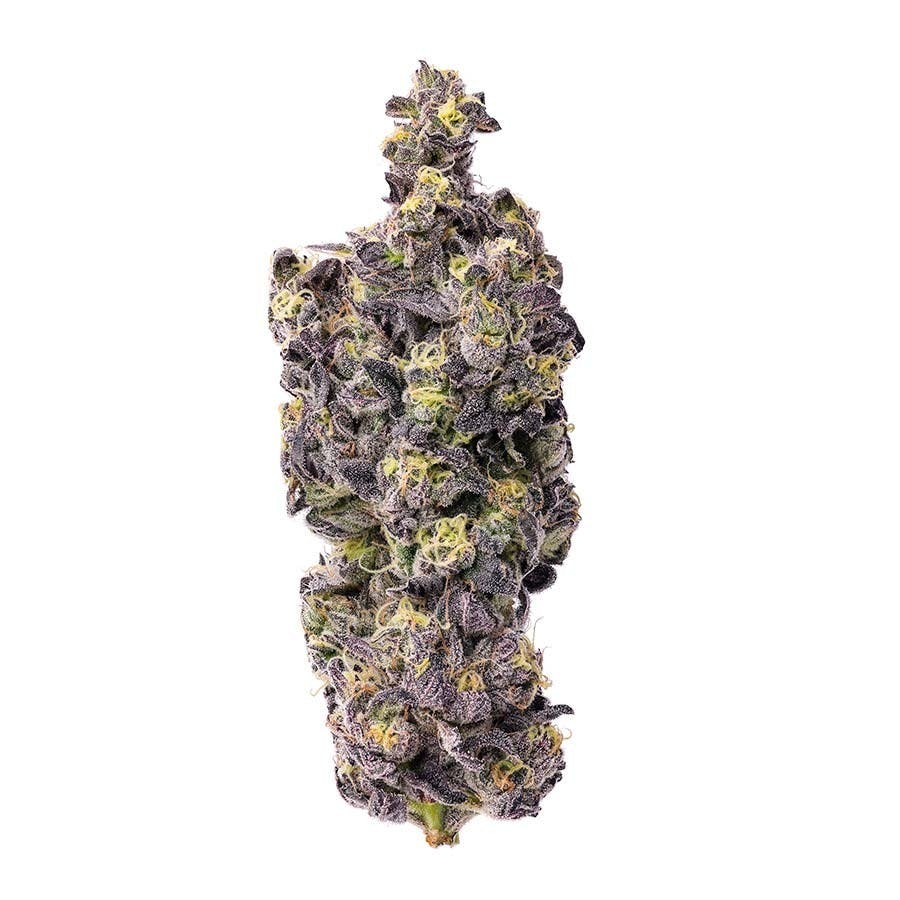 Gusher Runtz- Hybrid (Indica Dom) - Image 2