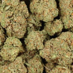 Animal Cookies THC-A FLower- Hybrid (Heavy Indica Dom)