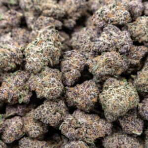 Gusher Runtz- Hybrid (Indica Dom)