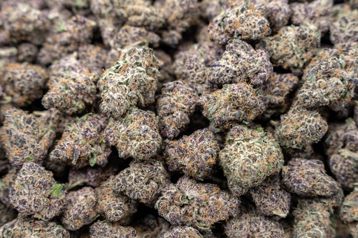 Gusher Runtz- Hybrid (Indica Dom)