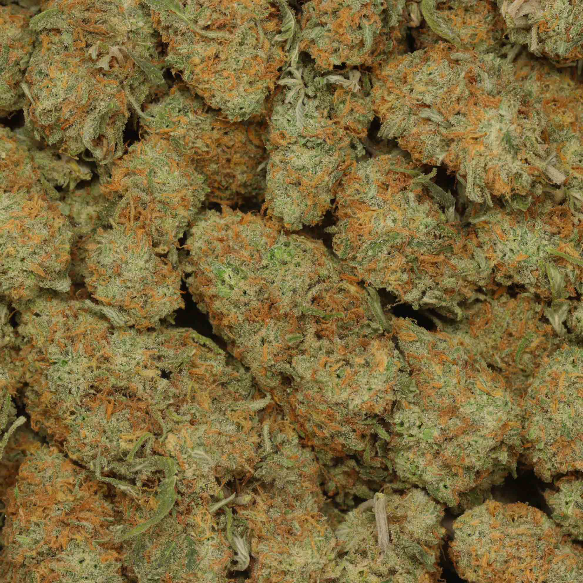 Super Silver Haze- Hybrid (Sativa Dom)