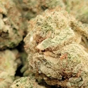 Orange Soda THC-A Flower- Hybrid (sativa Dom)