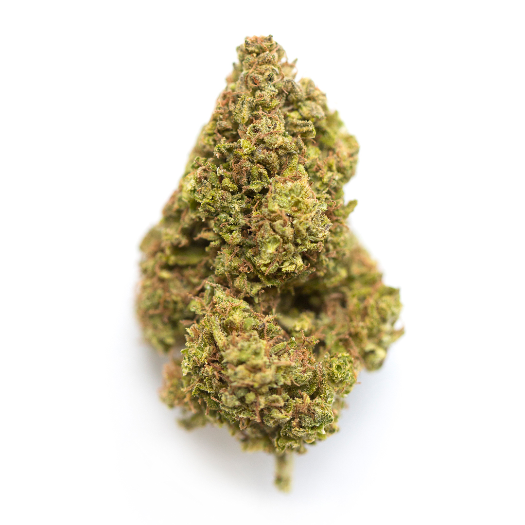 Gelonade- Hybrid (Sativa Dom.) - Image 2