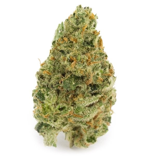 Super Silver Haze- Hybrid (Sativa Dom) - Image 2